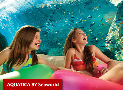 SeaWorld Orlando Three Park Ticket + All Day Dining